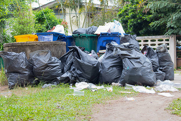 Attic Cleanout Services in Lago Vista, TX